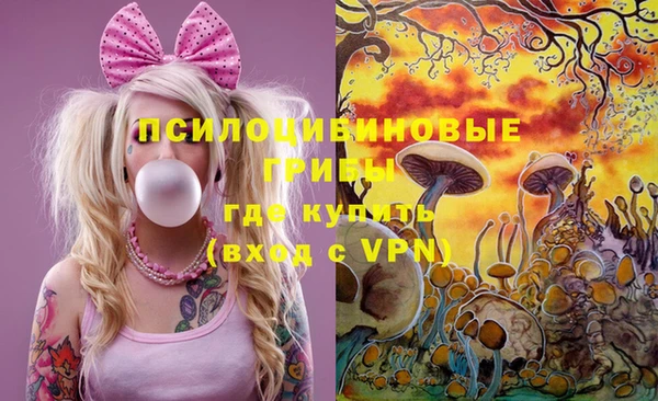 бутират Белокуриха
