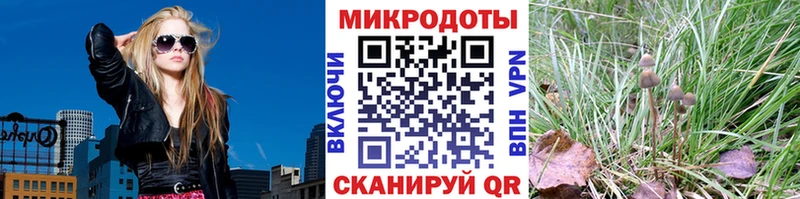 Псилоцибиновые грибы Psilocybe  наркотики  Элиста 