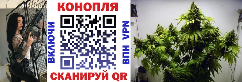 хочу   Элиста  МАРИХУАНА гибрид 